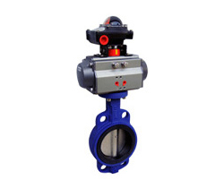 D671X氣動對(duì)夾式蝶閥